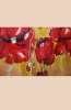 Silk Painting- Poppies Dream