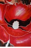 Silk Painting- Shining of Poppies Field