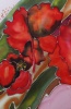 Silk Painting- Poppies Symphony